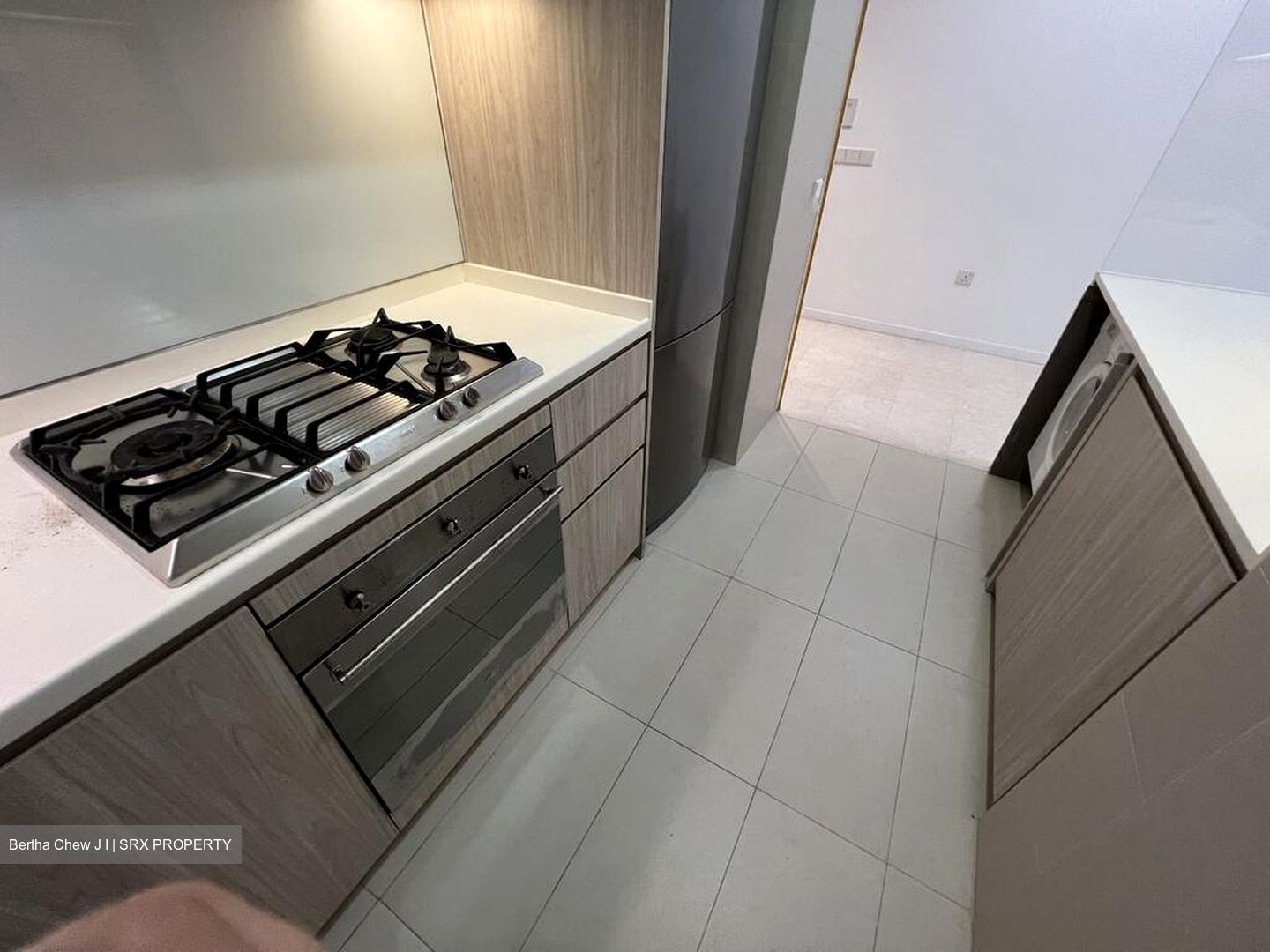 Seventy Saint Patrick's (D15), Condominium #501770791